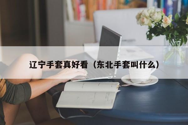 辽宁手套真好看（东北手套叫什么）