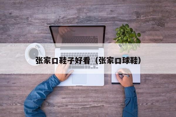 张家口鞋子好看（张家口球鞋）