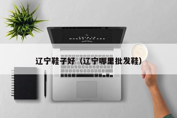 辽宁鞋子好（辽宁哪里批发鞋）