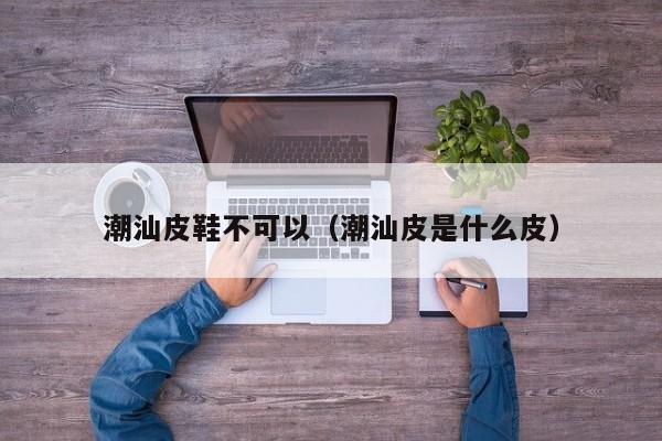 潮汕皮鞋不可以（潮汕皮是什么皮）